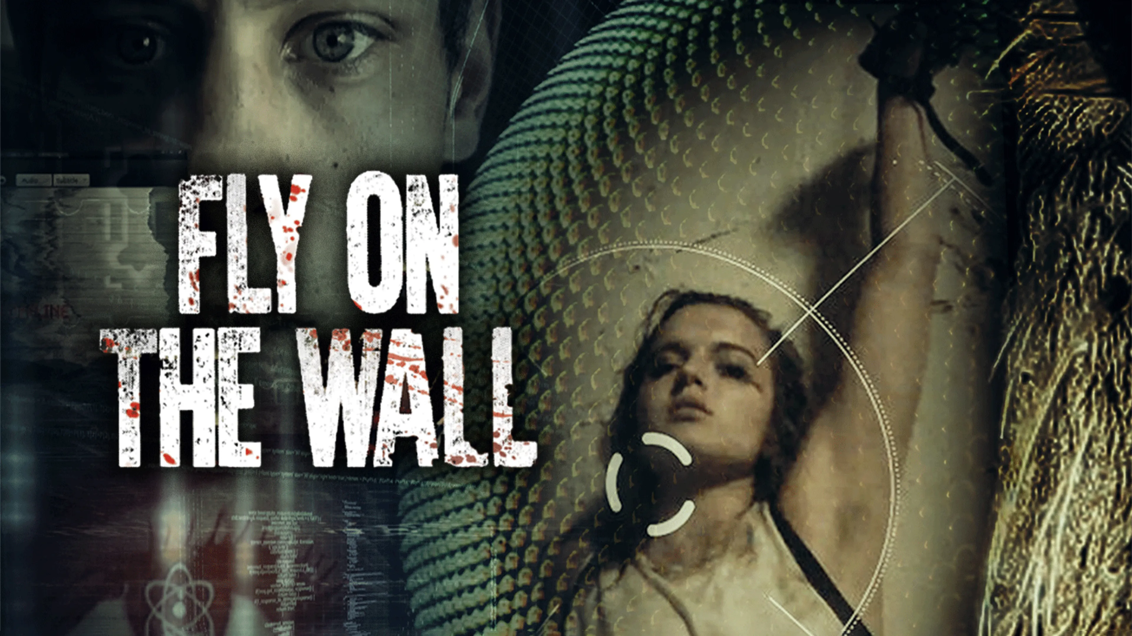 Fly on the Wall poster